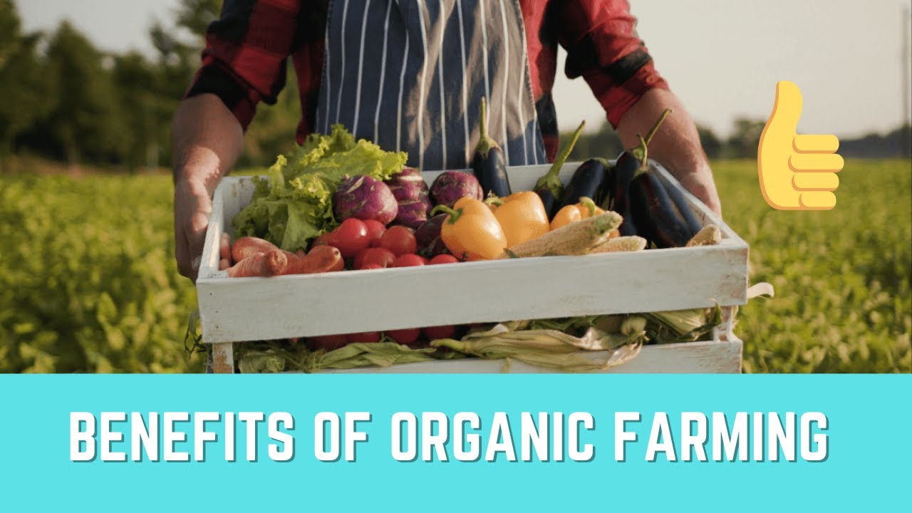 Benefits of Organic Farming