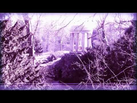 Dän & Zaehre - Herzessenz (Offizielles Musikvideo)