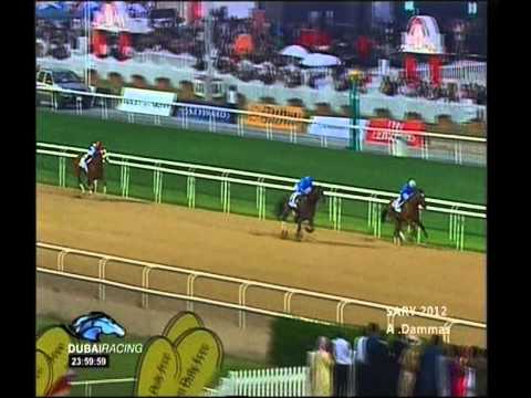 UAE DERBY 2009 G2 - REGAL RANSOM