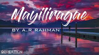 Mayiliragae Full Song Lyrics  AR Rahman  Anbe Aaru
