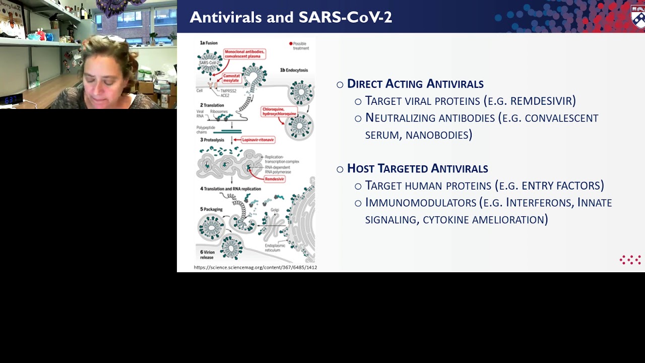 Repurposing in COVID-19: Can we identify new antivirals