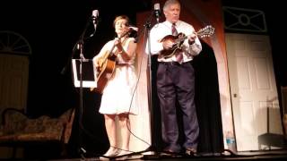 A Bluegrass Kindred Spirit  SW Florida