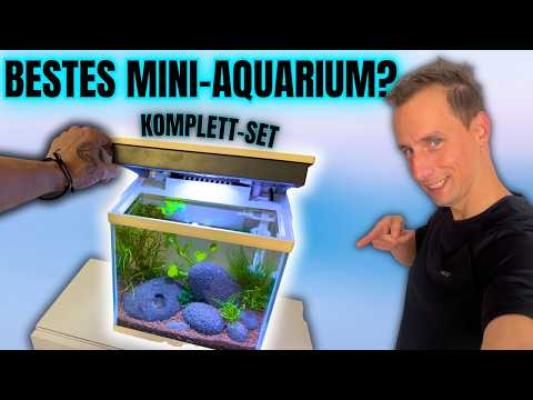 Is THIS the best mini aquarium? Practical test & setup!