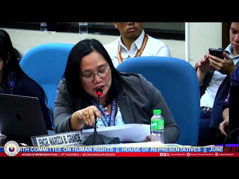 Committee on Public Order and Safety joint with Committee on Human Rights (JUNE 11, 2024)