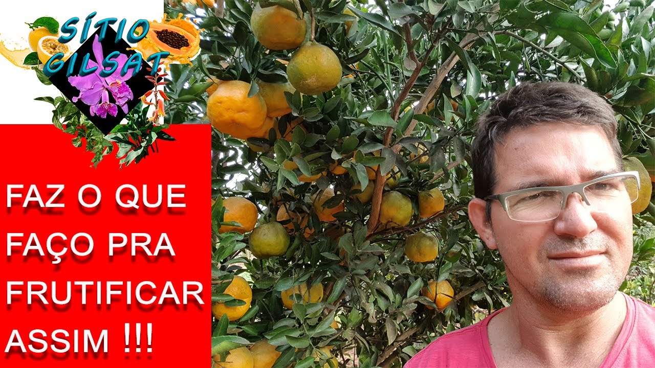 Pokan Façam isso na sua pokan ou laranja e (Exploda de Frutos)