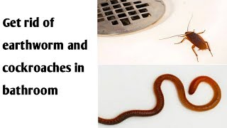 क्या आप भी परेशान हैं earthworm or cockroachesसे ll Get rid of cockroaches and earthworm in bathroom