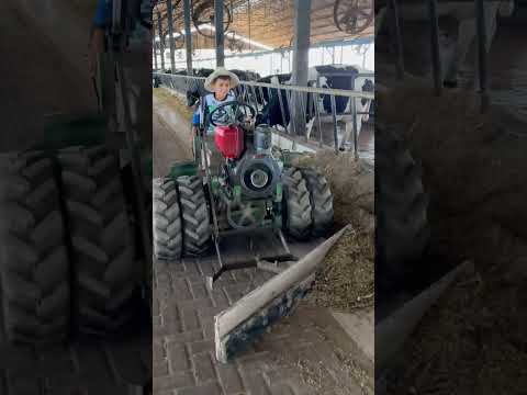 #fly #rells #trator #vaca #agro