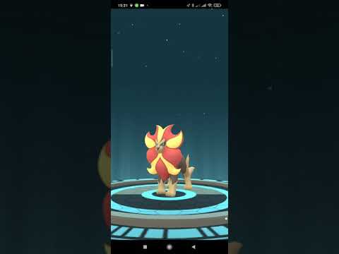 Pokémon GO - Evoluindo Litleo macho e fêmea pra ver as diferenças