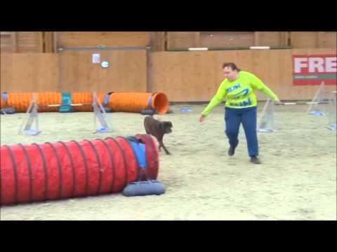 2014.12.06. TordasZoo TK Tálasi Zsófi - Monti