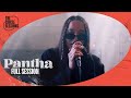 PANTHA - Full Live Concert | The Circle° Sessions
