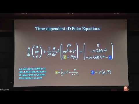 Black Holes in Stellar Interiors Across the Mass Spectrum