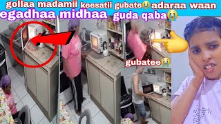 Download lagu #makureyiif#gubatee gollaa madamii keessatii adaraa keessaan waan kanaa egadhaa ijoolee tenyaa😭😭 mp3 Download lagu #makureyiif#gubatee gollaa madamii keessatii adaraa keessaan waan kanaa egadhaa ijoolee tenyaa😭😭 mp3