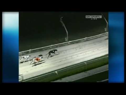 Coral Regency 2008 - Heat 1