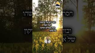 אוטיזם לפי היהדות | הסתכלות שמרגשת את הלב ᴴᴰ (הרב שי עטרי) - התמונה מוצגת ישירות מתוך אתר האינטרנט יוטיוב. זכויות היוצרים בתמונה שייכות ליוצרה. קישור קרדיט למקור התוכן נמצא בתוך דף הסרטון