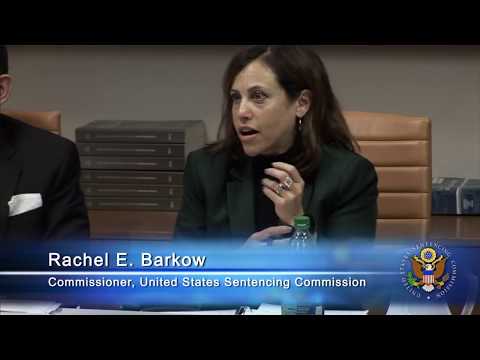 USSC Public Hearing: Fentanyl, Fentanyl Analogues, and Synthetic Cannabinoids - Panel 5