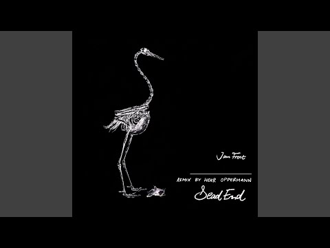 Dead End (Herr Oppermann Remix)