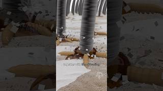 How Does Dandruff Form 😮 Explained #dandruff #shorts #viralvideo - creativelearning3d