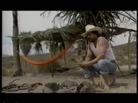 Los Invasores De Nuevo Leon Playa Sola 1