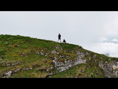 TRAF - The Better You