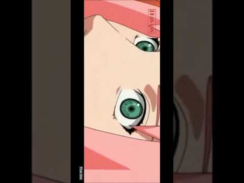 Bản rap về Sakura của Phan anh