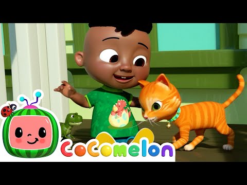 Pet Care| Cocomelon | Fun Cartoons For Kids | Moonbug Kids