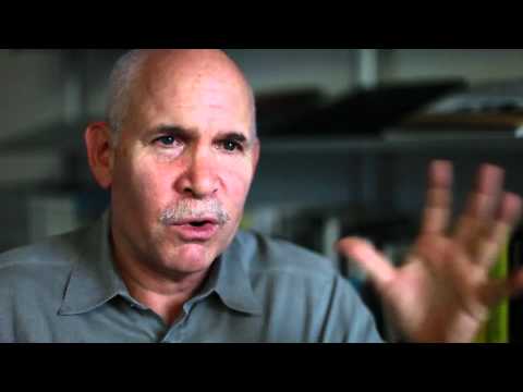 Steve McCurry One-Minute Masterclass: How to shoot in Stressful Situations