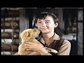 Closing To Old Yeller 1994 VHS