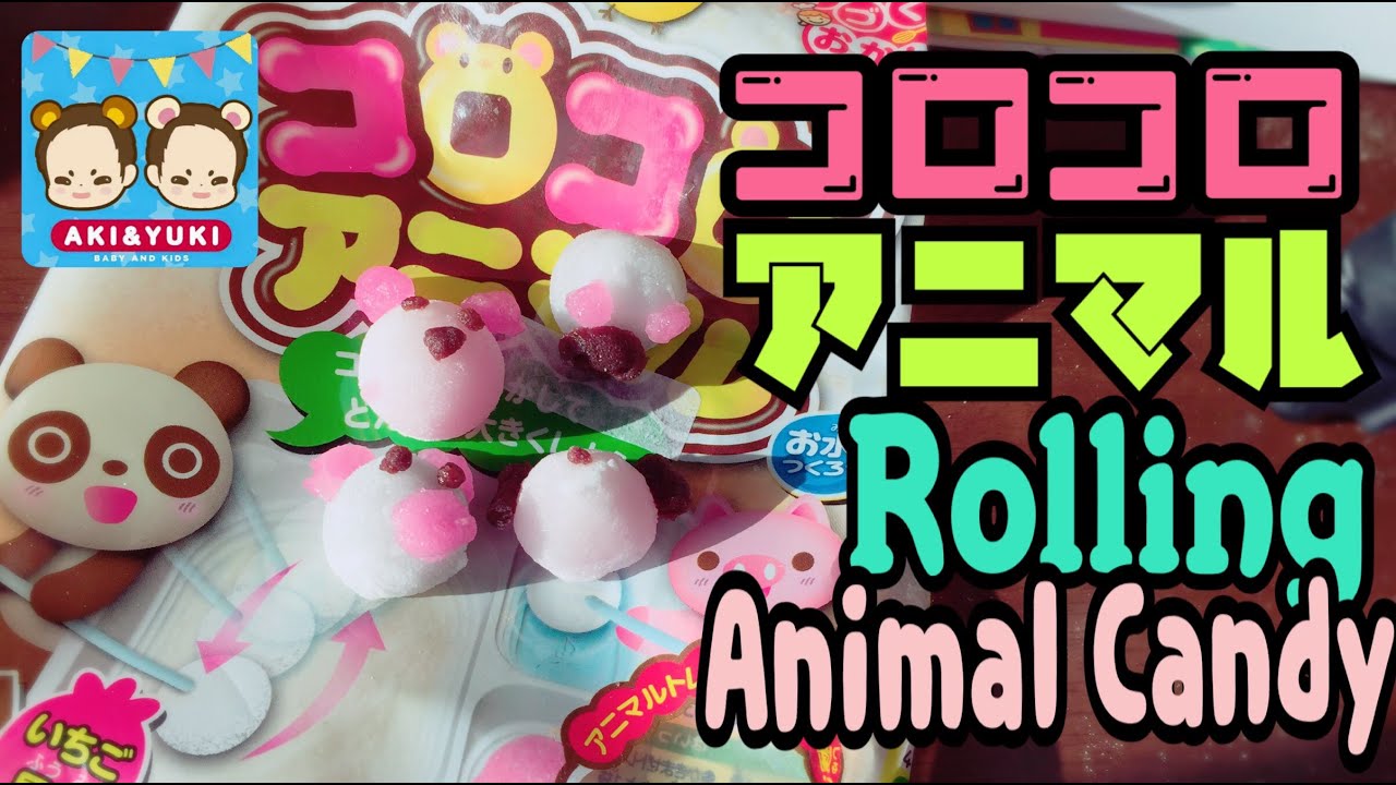 コロコロアニマル 手作りおかしい Rolling Animal Candy DIY ☆ learn japanese like a kid!