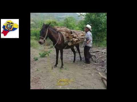 TRISTE DESPEDIDA DUO SANCHEZ Y YANES