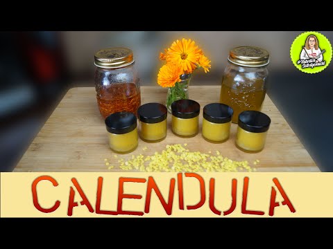 Ringelblumen Salbe selbst gemacht - perfekt für trockene Haut im Herbst  und Winter