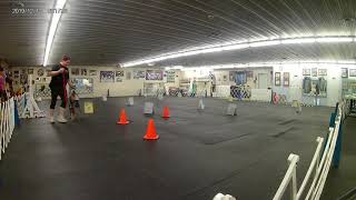 Aslyn Estill with Cato: AKC Rally Novice course #2