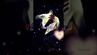 Romance Oculto Tigres del Norte