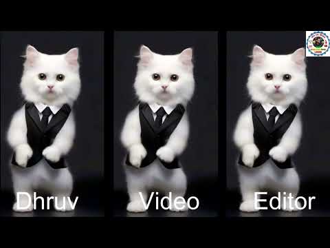 Dhruv Video Editor Live Stream || Cat Crazy Dance Video 2025