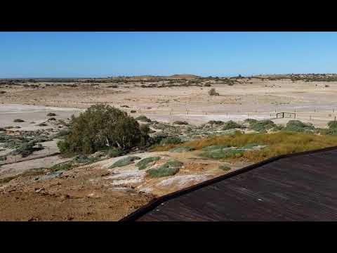 FoxRoo at Bubbler Mound - Oodnadatta Track (SA, Australia)