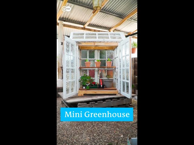 WATCH: How to make a mini greenhouse at home