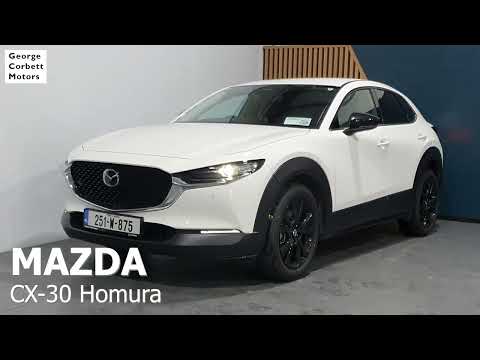 Mazda CX-30 2.0L 122ps 6MT FWD Homura (From €112 p - Image 2