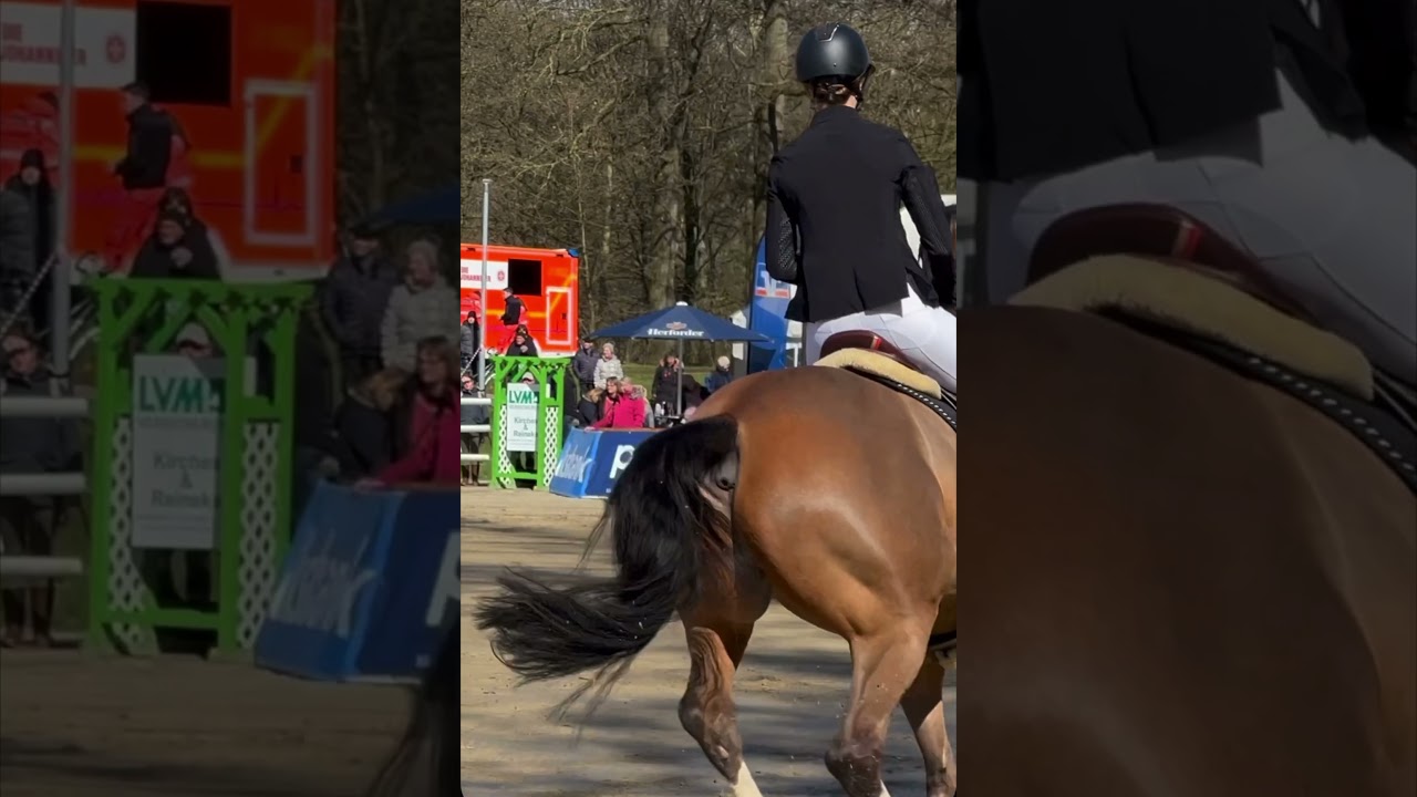 Anncatrin au saut d'obstacles