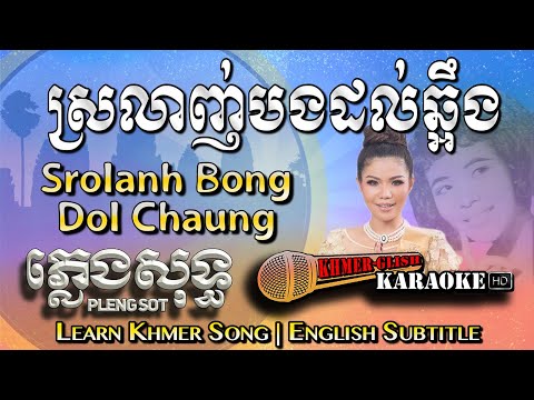 Khmer Karaoke - Srolanh Bong Dol Chuang ស្រលាញ់បងដល់ឆ្អឹង ភ្លេងសុទ្ធ [English Subtitle Sing Along]