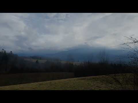 Ballada o Żubrze i Wilkach