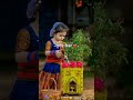 Tulshi Vivah Status Video Tulsi Tulshivivah Shortvideo Reels Ytshorts Video Viral Shorts Yt