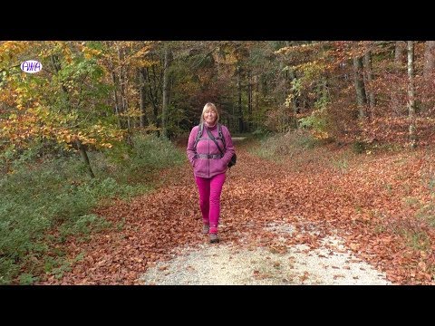 Inspirationsmedium & Wunderlingfrau Heike Antons über Wunderlinge und Naturwesen