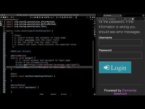 How To Assert Input Field Value Tutorial Selenium Testng Java