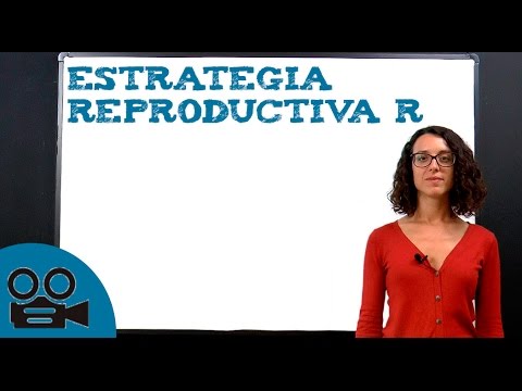 Estrategia reproductiva R