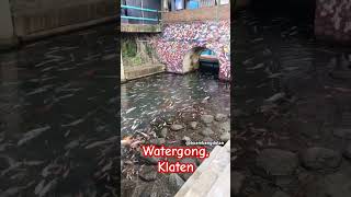 Download lagu 📍Watergong, Ponggok, Polanharjo  #klaten #ponggok #watergong #wisataklaten mp3