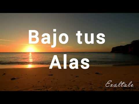 Salmos 4091 - Eccos - Un Corazón - Letra