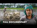Unseen Reality Of Bangladeshi Farmers A Day In The Life Of A Farmer DreamersEye