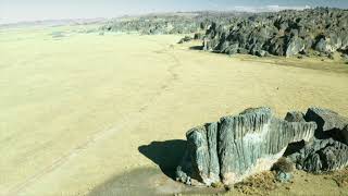 Drone - Bosque de Huayllay