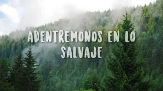 Into The Wild | Lewis Watson | Traducida