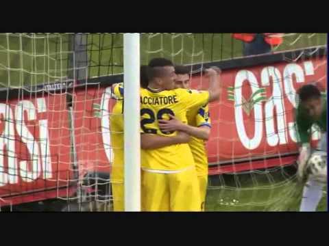 Hellas Verona - I goal del girone di ritorno (Serie B 2012-2013)