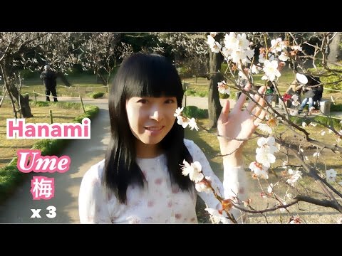 [x3] Kōrakuen [Hanami Ume matsuri, Jardin japonais] [Promenade à pied à Tôkyô] 26/02/2016 [Accéléré] Video